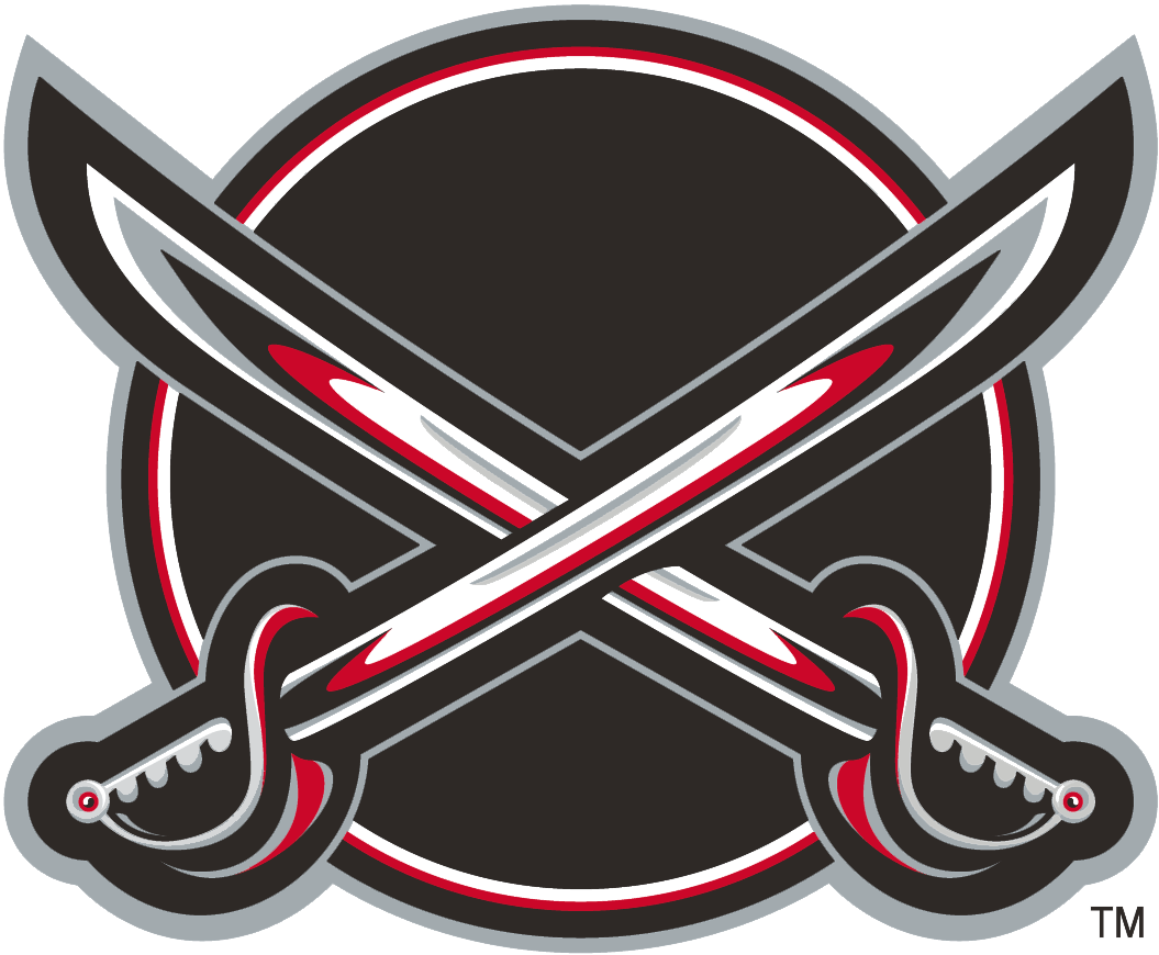 Buffalo Sabres 2000-2006 Alternate Logo DIY iron on transfer (heat transfer)